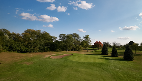 Golf course green with bunkers and trees 